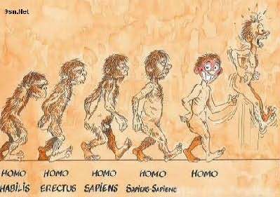  homo ...................
