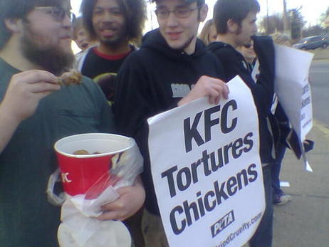 KFC измъчва пилетата