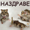 Наздраве........