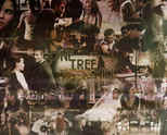 One tree hill